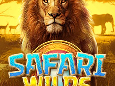 Игровой аппарат Safari Wilds